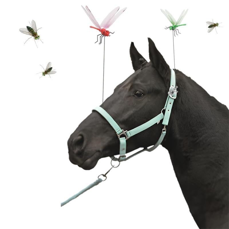 Stilfull Trollslända Myggbekämpare