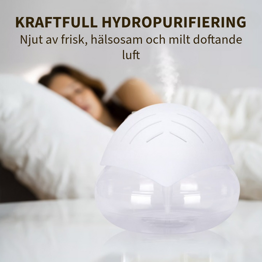 Professionell luftrenare