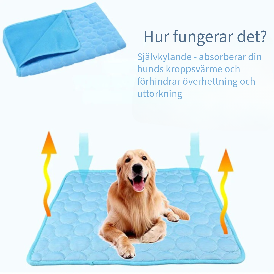 Innovativ Kylfilt för Husdjur