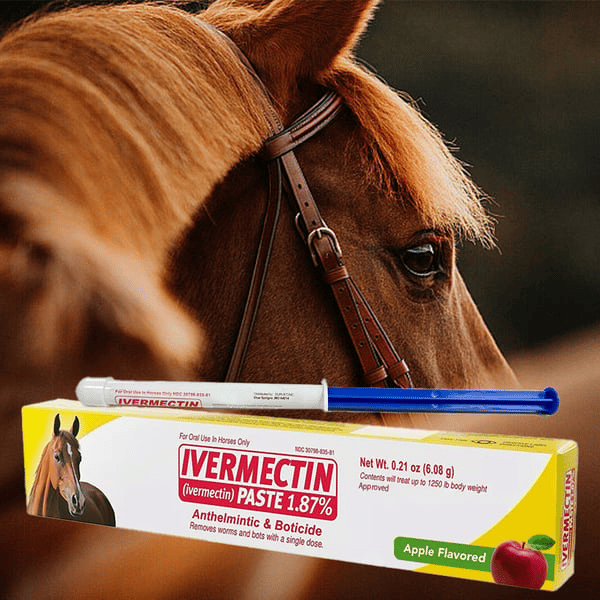 Ivermectinpasta för Hästar