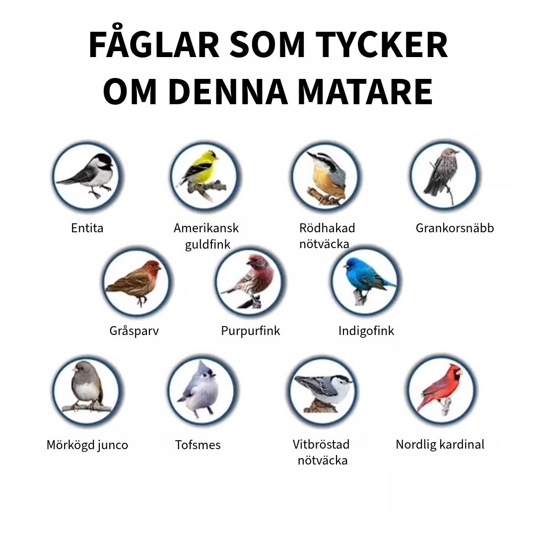 Anti-ekorrfågelmatare