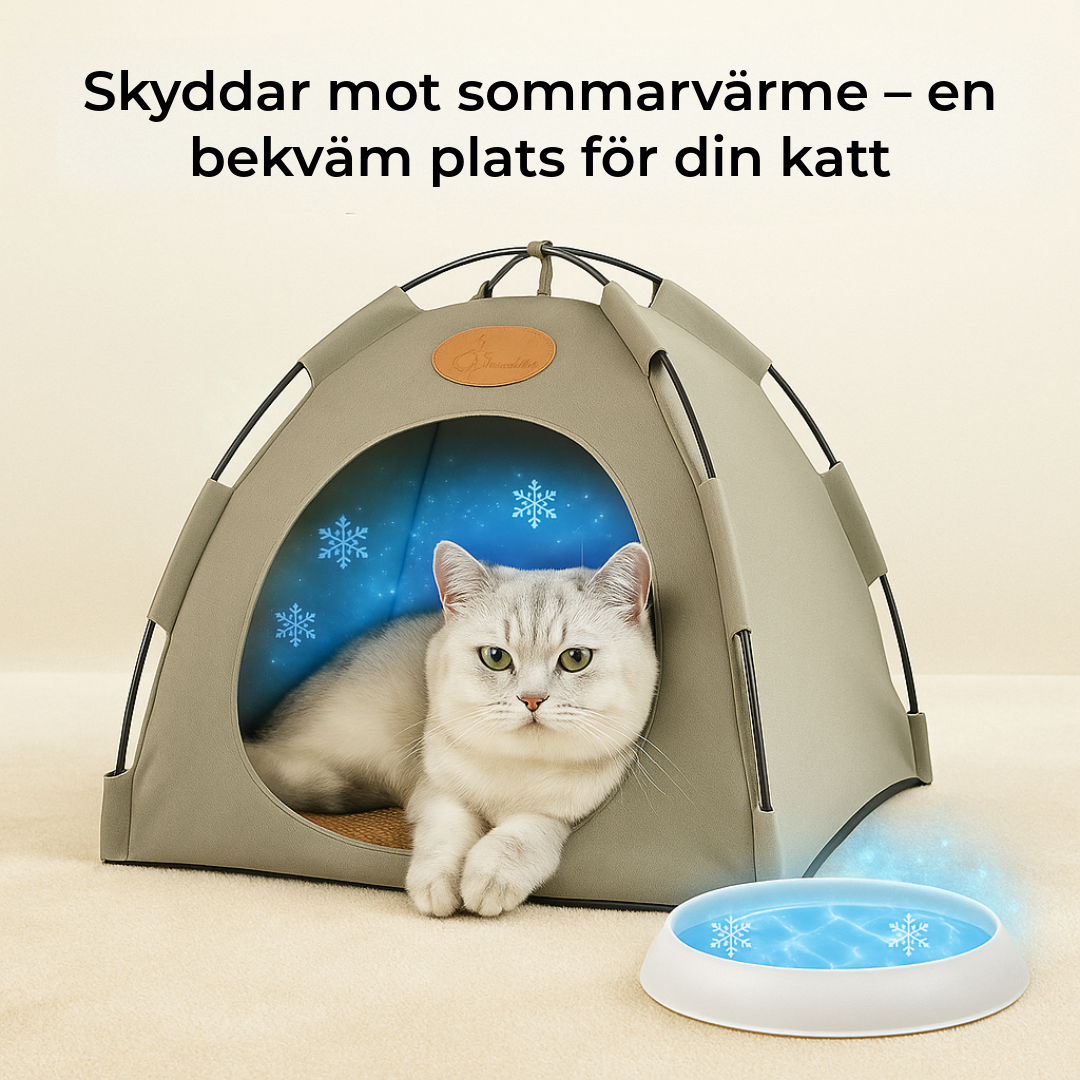 Lyxig kylig tält