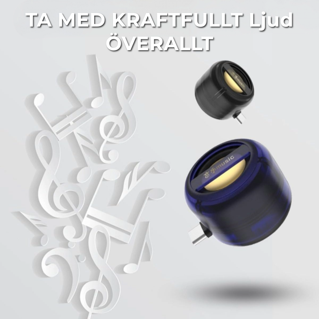 Plug & Play Högtalare