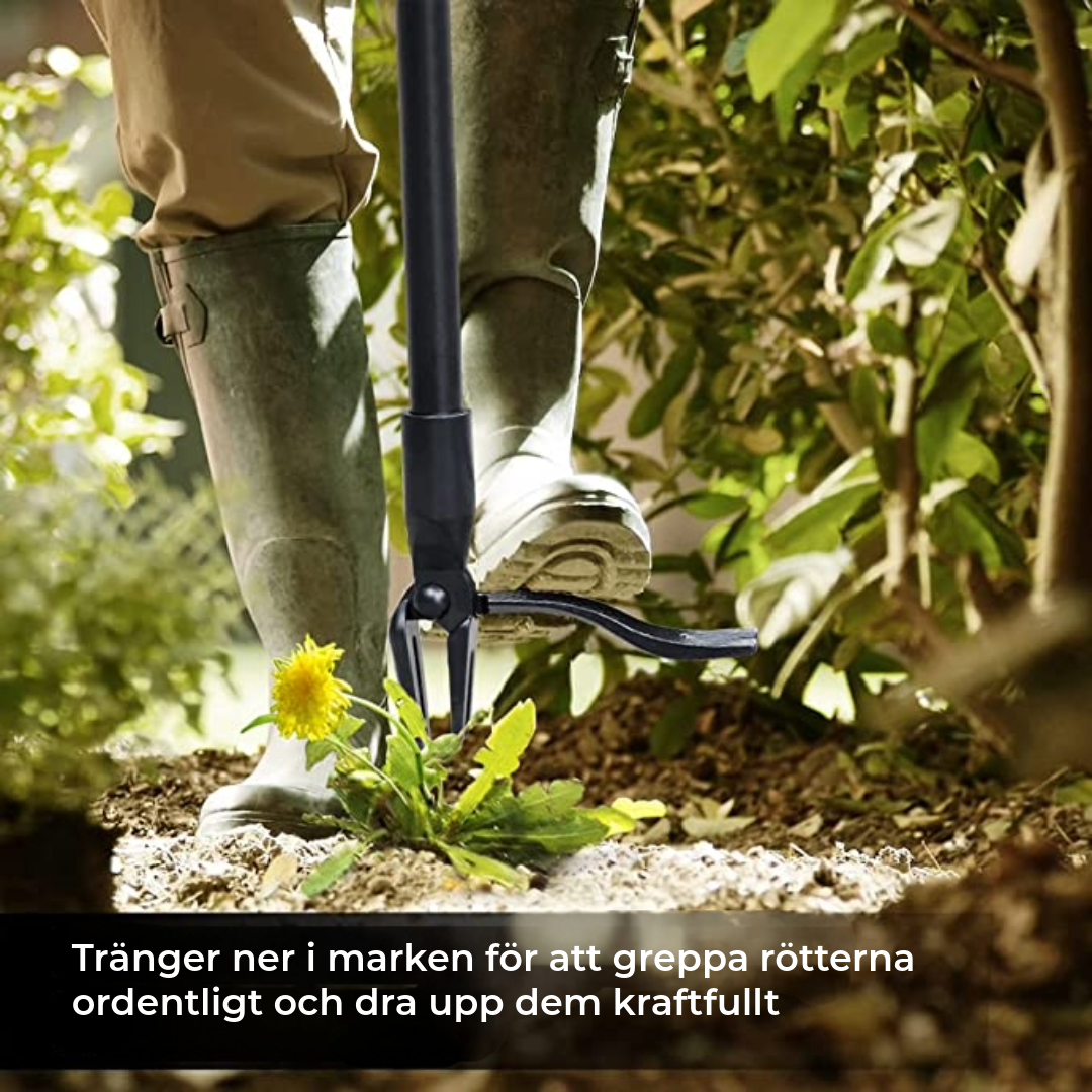 Professionell Ogräsborttagare